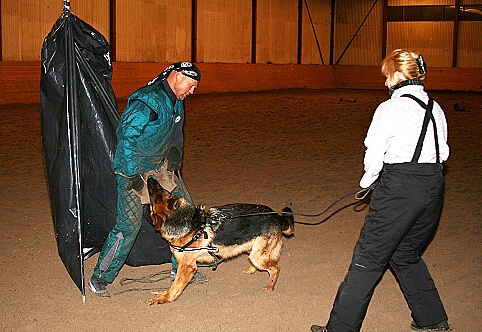 Training in Estonia 3/2007